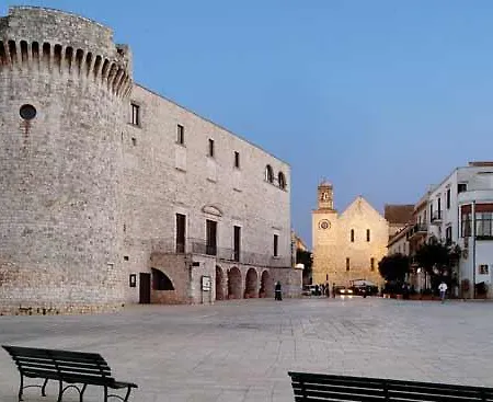 L'ulivo *